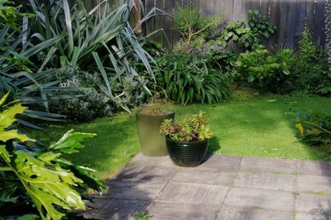 Photo of property in 52 Hine Street, New Plymouth, 4310