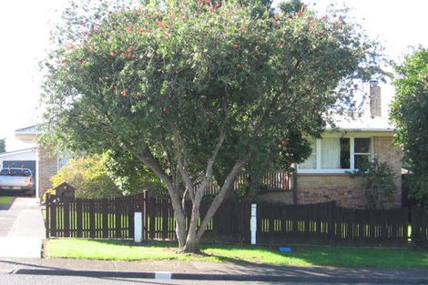 Photo of property in 45 Christmas Road, Manurewa, Auckland, 2102