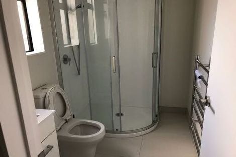 Photo of property in 9 Lemon Tree Lane, Flat Bush, Auckland, 2019