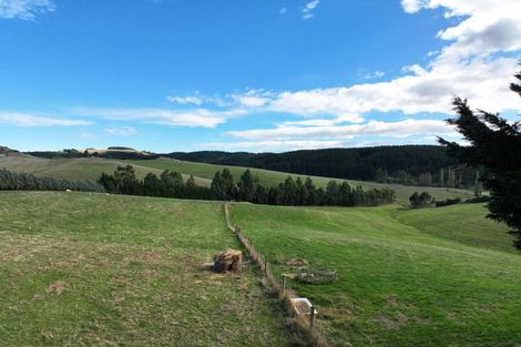 Photo of property in 665 Berwick Road, Berwick Forest, Outram, 9073