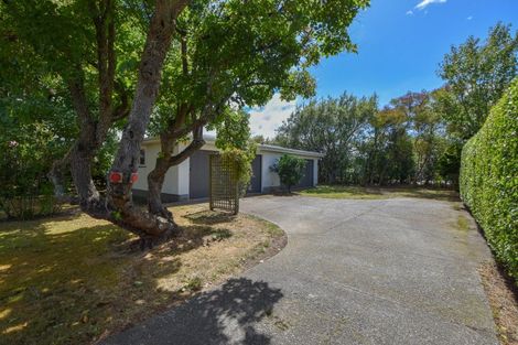 Photo of property in 50 Kent Street, Carterton, 5713