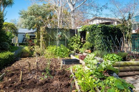 Photo of property in 8 Greenwood Road, Havelock North, 4130