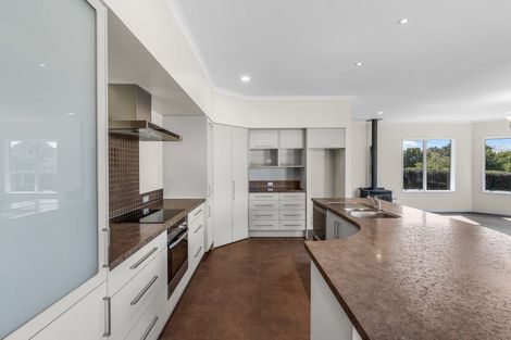 Photo of property in 407 Youngson Road, Whakamarama, Tauranga, 3179