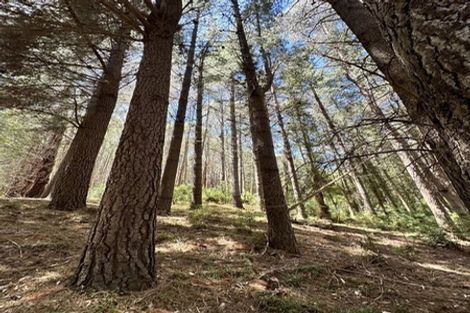 Photo of property in 13 Okuti Valley Road, Little River, 7591