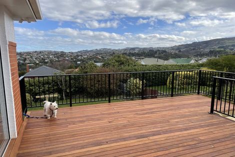 Photo of property in 177 Gladstone Road, Dalmore, Dunedin, 9010