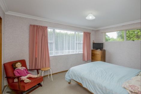 Photo of property in 138a Tiro Tiro Road, Levin, 5510