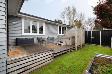 Photo of property in 143 Rimu Street, Maeroa, Hamilton, 3200