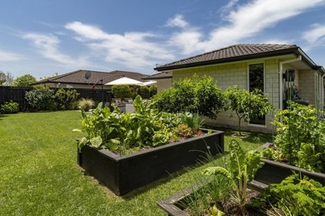 Photo of property in 15 Hansard Place, Bethlehem, Tauranga, 3110