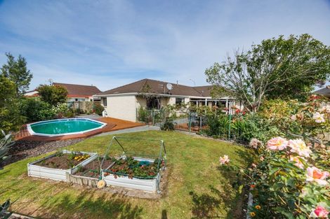 Photo of property in 155 Milson Line, Milson, Palmerston North, 4414