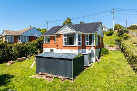Photo of property in 20 Panmure Avenue, Calton Hill, Dunedin, 9012