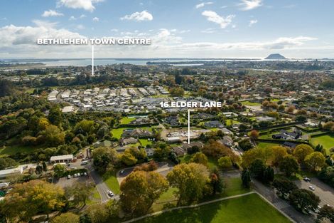 Photo of property in 16r Elder Lane, Bethlehem, Tauranga, 3110