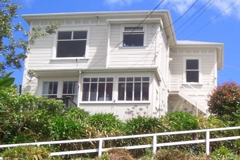 Photo of property in 45 Apuka Street, Brooklyn, Wellington, 6021