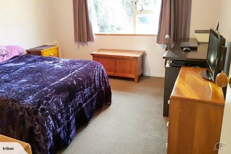 Photo of property in 43 Studholme Street, Somerfield, Christchurch, 8024
