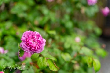 Photo of property in 17 Oparakau Road, Matakohe, 0594