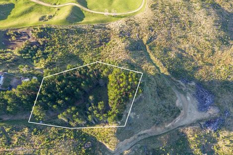 Photo of property in 1165c Cooks Tooth Road, Porangahau, 4293