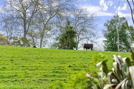 Photo of property in 117 Dodd Road, Motumaoho, Morrinsville, 3372
