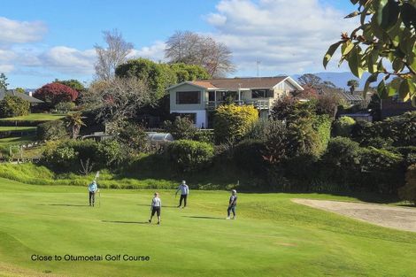 Photo of property in 115a Chapel Street, Otumoetai, Tauranga, 3110