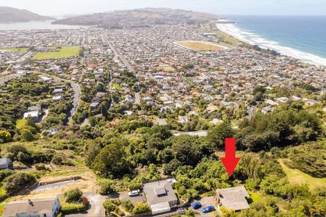 Photo of property in 54b Earls Road, Saint Clair, Dunedin, 9012