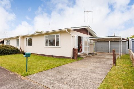 Photo of property in 19 Blenheim Place, Feilding, 4702