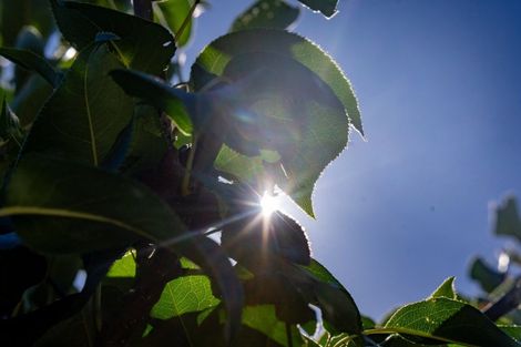 Photo of property in 2 Millie Place, Huntington, Hamilton, 3210