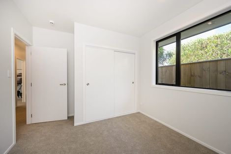 Photo of property in 10c Limbrick Street, Terrace End, Palmerston North, 4410