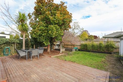 Photo of property in 17 Cranford Street, St Albans, Christchurch, 8014