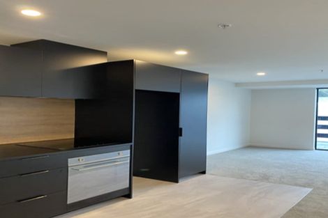 Photo of property in Pinnacle On Victoria, 160 Victoria Street, Te Aro, Wellington, 6011
