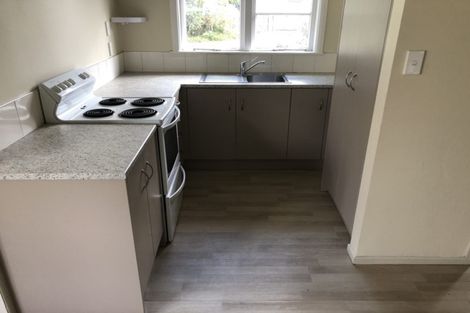 Photo of property in 117 Dey Street, Hamilton East, Hamilton, 3216