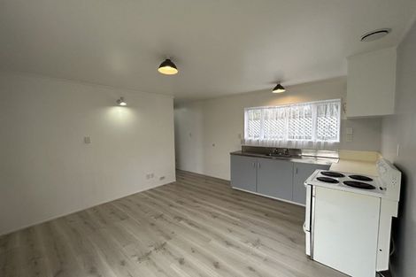 Photo of property in 38 Abbotsford Street, Whitiora, Hamilton, 3200
