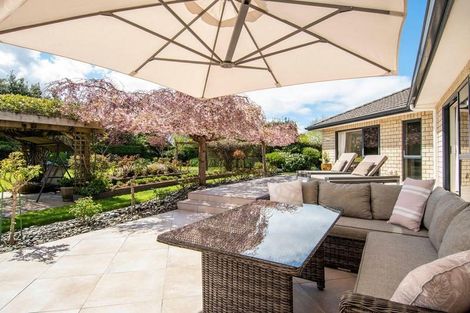 Photo of property in 6r Jason Place, Pyes Pa, Tauranga, 3112