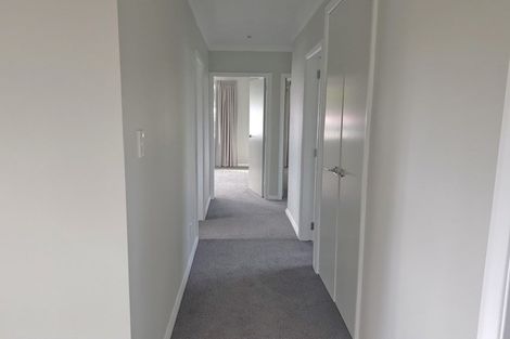 Photo of property in 98 Melbourne Road, Island Bay, Wellington, 6023