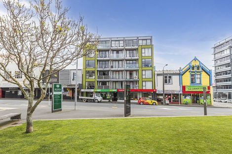 Photo of property in Dual Apartments, 306/142u Vivian Street, Te Aro, Wellington, 6011
