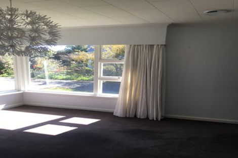Photo of property in 10 Manuka Street, Mairehau, Christchurch, 8013