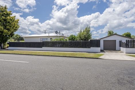 Photo of property in 182 Tiro Tiro Road, Levin, 5510