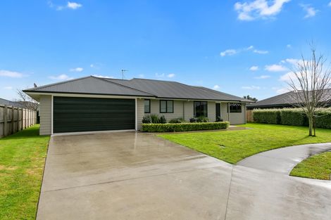 Photo of property in 20 Maple Place, Matamata, 3400