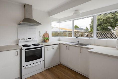 Photo of property in 45 Brookfield Street, Hamilton East, Hamilton, 3216