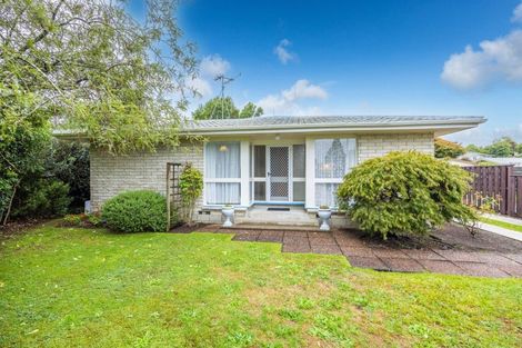 Photo of property in 126 Fairview Street, Chartwell, Hamilton, 3210
