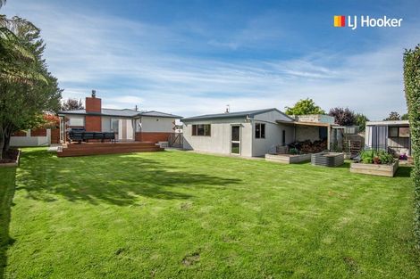 Photo of property in 11 Tyne Street, Roslyn, Dunedin, 9010