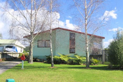 Photo of property in 104 Ngati Pu Place, Whangamata, 3620
