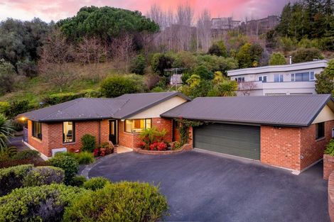 Photo of property in 55 Panorama Drive, Enner Glynn, Nelson, 7011