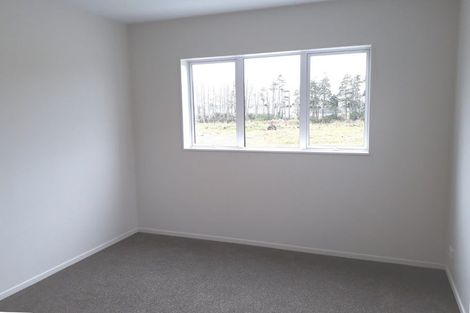 Photo of property in 65 Tribute Loop, Takanini, 2112