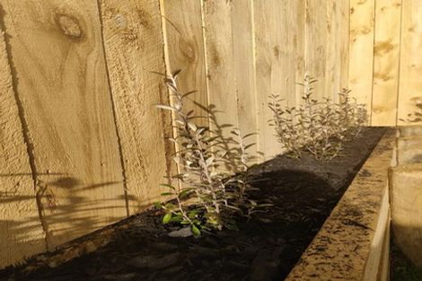 Photo of property in 14 Papai Lane, Massey, 0614