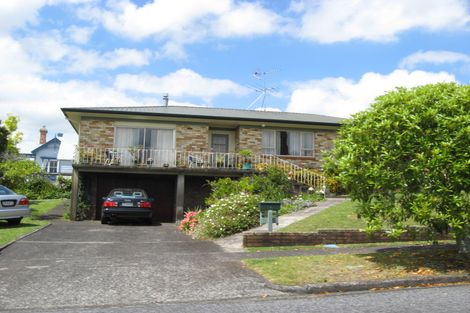 Photo of property in 16 Lawrie Avenue, Pukekohe, 2120