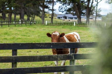 Photo of property in 21 Glenn Street, Castlecliff, Whanganui, 4501