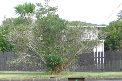Photo of property in 13 Larnoch Road, Henderson, Auckland, 0610