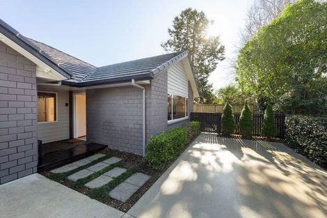 Photo of property in 28c Hamilton Road, Cambridge, 3434