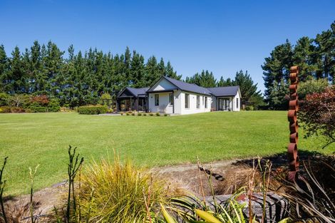 Photo of property in 155b Halcombe Road, Feilding, 4775