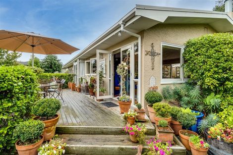 Photo of property in 45 Elbourne Street, Taradale, Napier, 4112