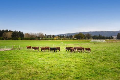 Photo of property in 101 Dukes Road North, Mosgiel, 9092