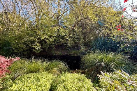 Photo of property in 21 Bidwell Place, Hillmorton, Christchurch, 8025